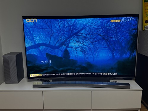 Lgtv+스피커