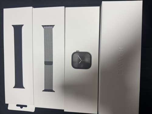 애플워치 10 티타늄 (슬레이트) 42mm 애플케어+포함