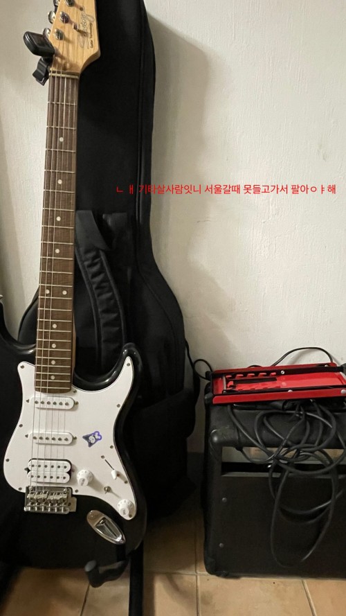 스윙 se 기타